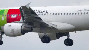 Frankfurt 'a inen uçak