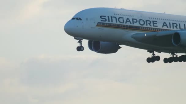 Airbus A380 närmar sig före landning — Stockvideo