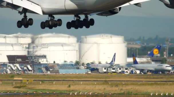 Flugzeug landet in Frankfurt — Stockvideo