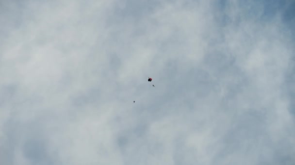 Des parachutistes en vol libre — Video