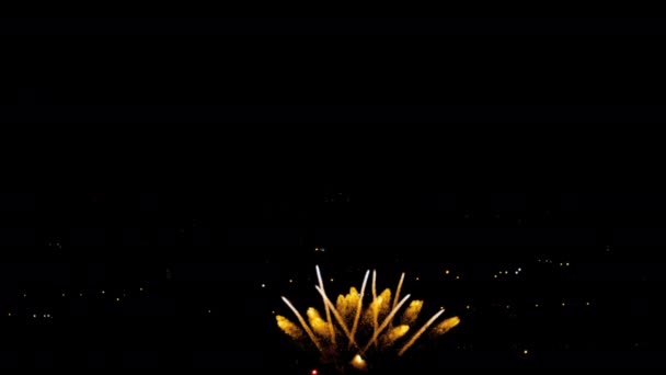 불꽃놀이 밤 휴가 하늘에서 깜박이 — 비디오
