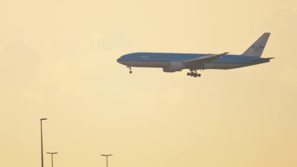 KLM Boeing 777 mendekat — Stok Video