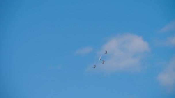 Equipo acrobático de halcones rusos — Vídeo de stock