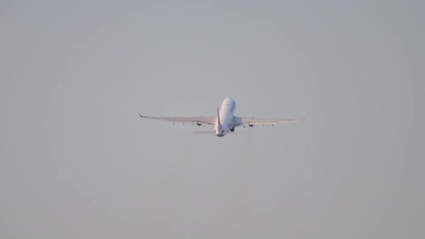비행기에 어 버스 A330 터키 항공 출발 — 비디오