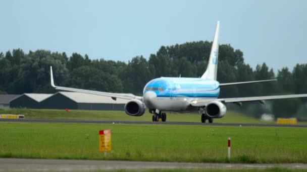 Amsterdam Nederländerna Juli 2017 Klm Royal Holländska Airlines Boeing 737 — Stockvideo