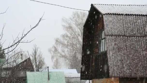 Winter sneeuw blizzard — Stockvideo