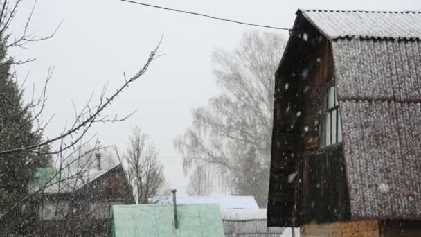 Зимові снігові пластівці падають — стокове відео