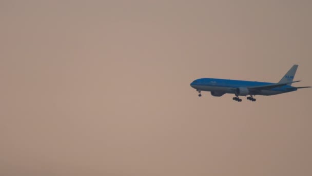 KLM Боїнг 777 наближається — стокове відео