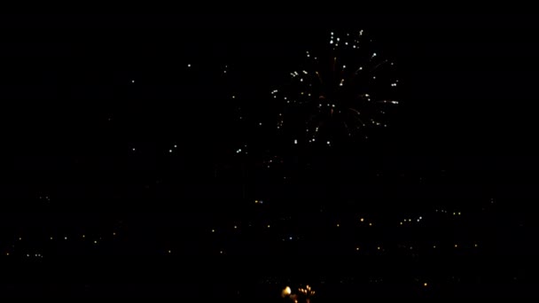 Fireworks flashing in the night holiday sky — Stock Video