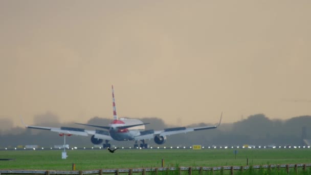 American Airlines Boeing 767 lądowanie — Wideo stockowe