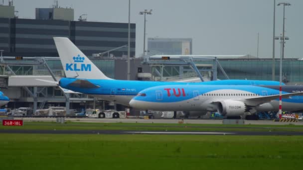 荷兰阿姆斯特丹 2017年7月27日 737 Klm Bxl Tuifly 波音737梦想客机起飞前滑行 737 Klm Bvk — 图库视频影像