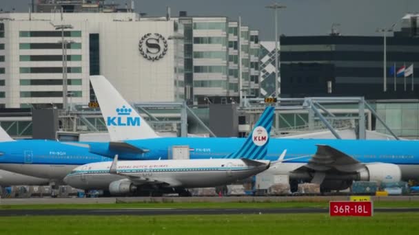 KLM retrô libré Boeing 737 taxiando — Vídeo de Stock