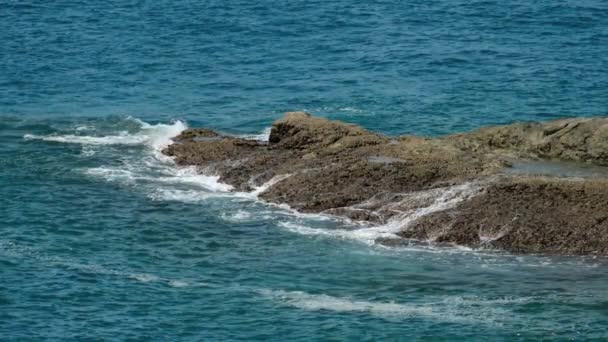 Indian Ocean shore waves — Stock Video