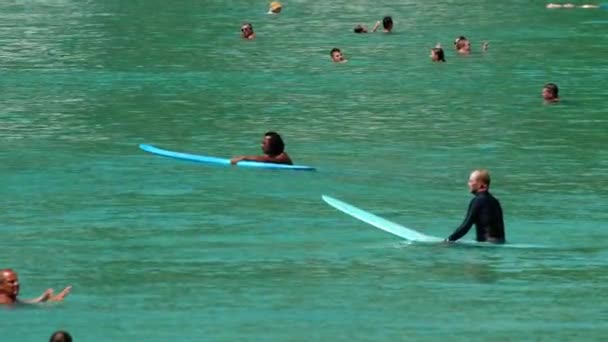 Surfistas en las olas — Vídeo de stock