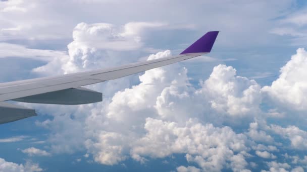 Vista aérea desde el avión descendente — Vídeo de stock