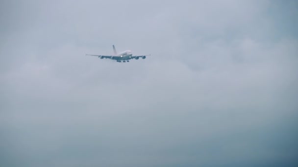 Widebody airliner approaching — Stock Video