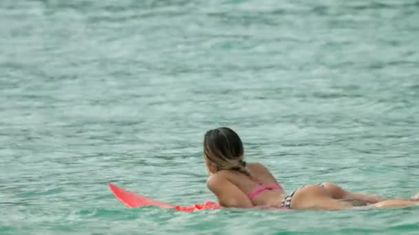 Attractive surfer woman on a surfboard floating in ocean — Stock Video