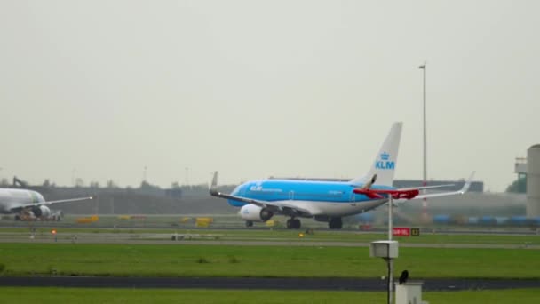 KLM Boeing 737 kalkışı — Stok video