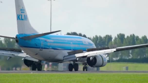 KLM Boeing 737 aterrizaje — Vídeos de Stock