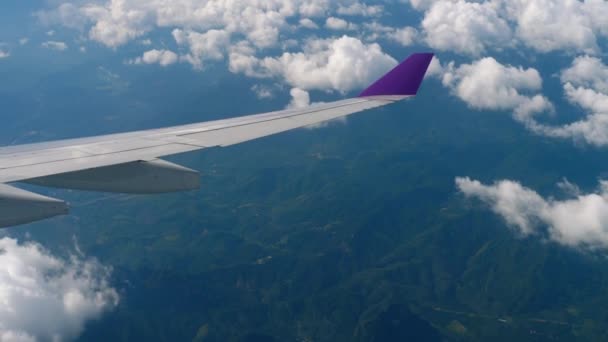 İniş yapan uçaktan hava görüntüsü — Stok video