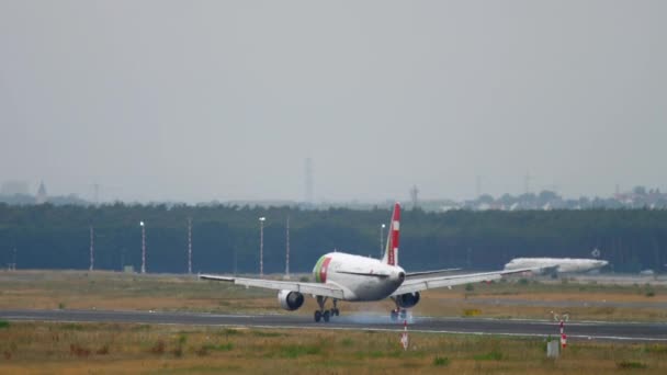 프랑크푸르트에 착륙 한 비행기 — 비디오