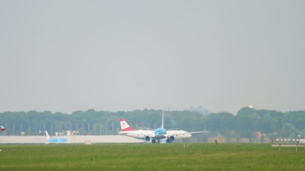 KLM Boeing 737 acelera antes de la salida — Vídeo de stock