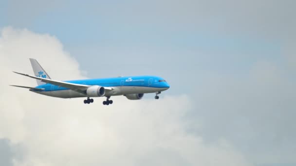 Groot vliegtuig nadert voor de landing — Stockvideo