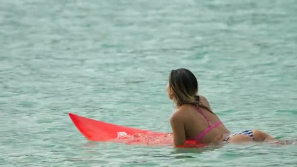 Привлекательная женщина-сёрфер на доске для серфинга, плавающая в океане — стоковое видео