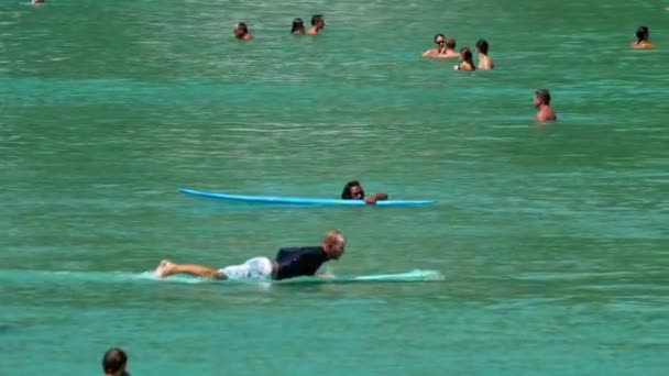 Surfistas en las olas — Vídeo de stock