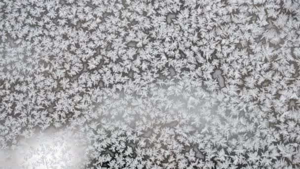 美丽的节日冰霜模式 — 图库视频影像