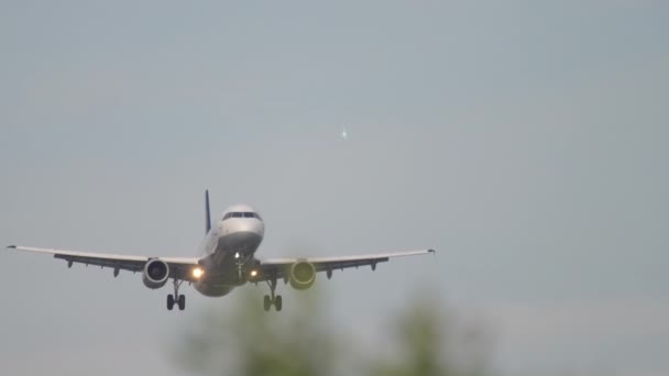 飛行機が早朝に近づいて — ストック動画