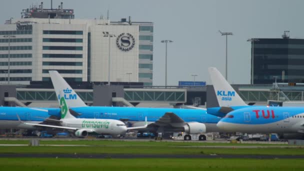 TUI Fly Dreamliner towing — Stock Video