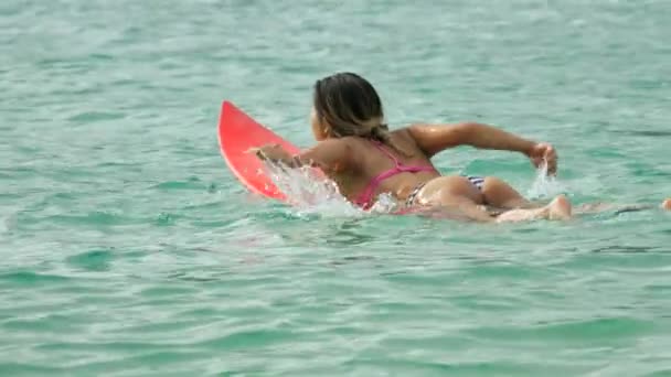 바다에 떠 있는 서핑 보드에 매력적인 서퍼 여자 — 비디오