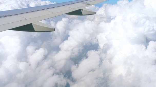비행기에서 내려다본 공중 광경 — 비디오