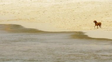 Oyuncak-korkunç kum plajındaki