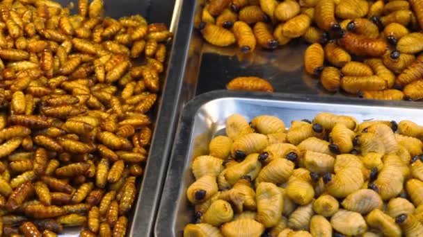 Жареные насекомые продаются на уличном рынке Пхукета, Таиланд — стоковое видео