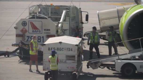 Hochladen von Gepäck an Bord des Flugzeugs — Stockvideo