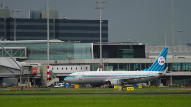 KLM retrô libré Boeing 737 taxiando — Vídeo de Stock