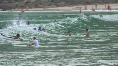 Dalgalarda sörfçü