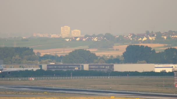 American Airlines Airbus A330 aterrizaje — Vídeos de Stock