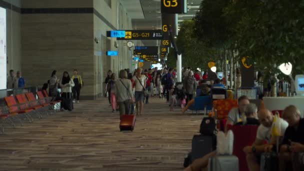 Vertrekhal op Changi Airport terminal 4 — Stockvideo