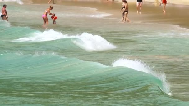 Szörfösök a hullámok — Stock videók