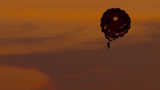 Parasailing extreme sport — Stock Video