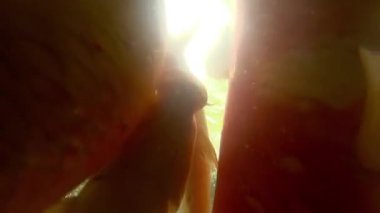 Sualtı Koi balık gölet yeme.