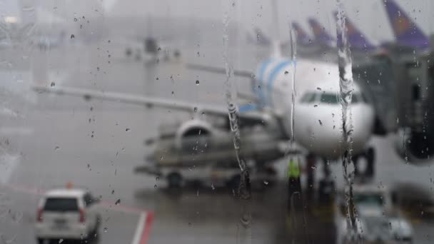 Тропічний дощ в аеропорту — стокове відео