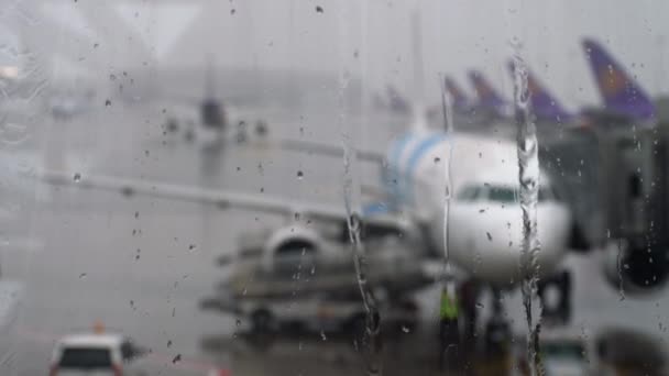 Lluvia tropical en el aeropuerto — Vídeos de Stock