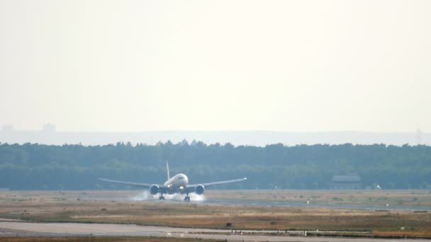 Widebody airplane landing in Frankfurt — Stock Video