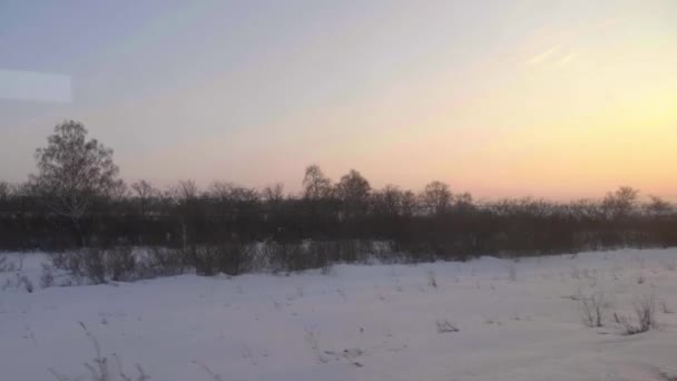 Primavera siberiana pôr do sol paisagem — Vídeo de Stock