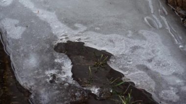Tatlı su birikintisi, timelapse buz erime