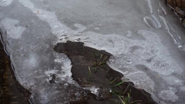 Primer plano del derretimiento del hielo en charco, timelapse — Vídeo de stock